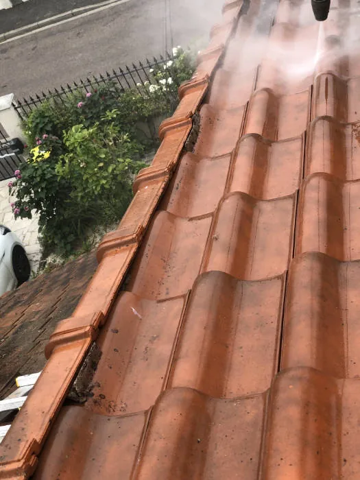 Toiture en tuiles encrassée par les mousses avant démoussage